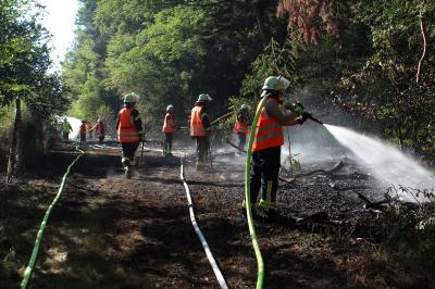 Feuerwehr bekaempft Waldbrand an der A65 bei Woerth